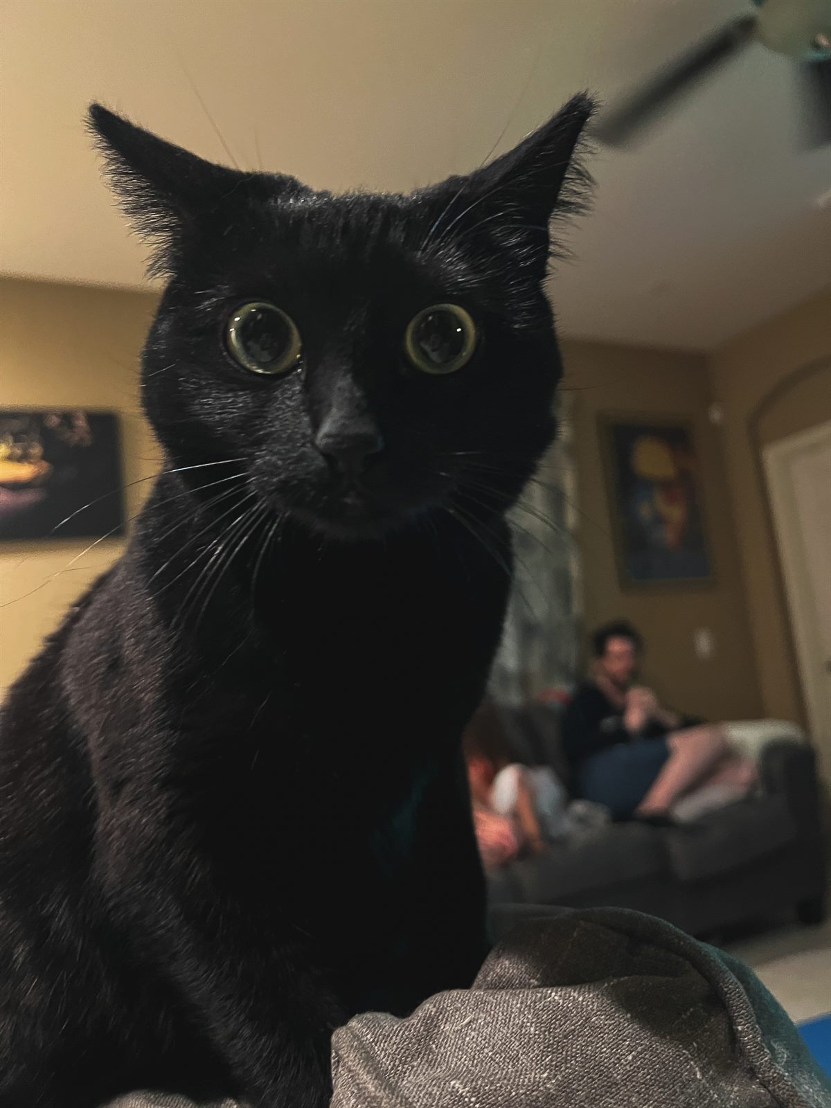 mimi was shook because our friend doupl was blowing into a bottle and she didn't know how to handle the noise